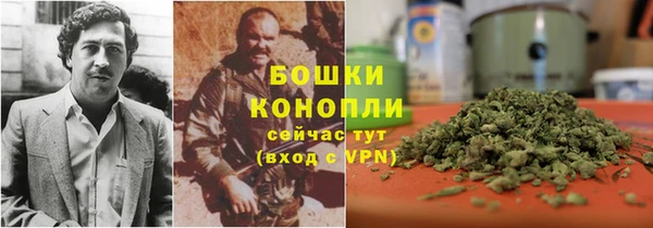 дживик Верхний Тагил