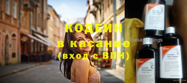 прущие грибы Верея