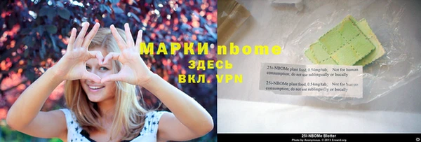 дживик Верхний Тагил