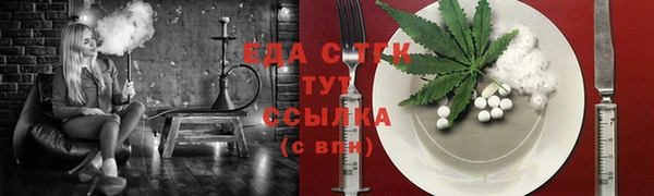дживик Верхний Тагил