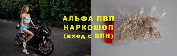 прущие грибы Верея