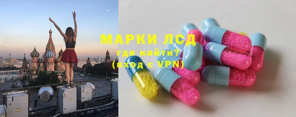 дживик Верхний Тагил