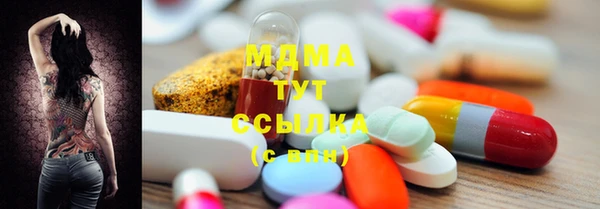 прущие грибы Верея