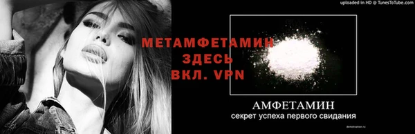 дживик Верхний Тагил