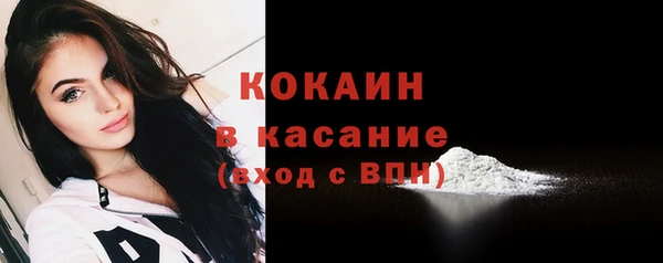 прущие грибы Верея