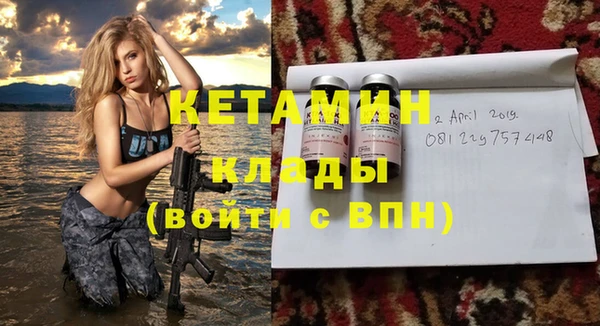 прущие грибы Верея