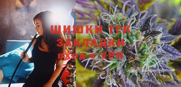 прущие грибы Верея