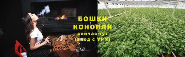 сатива Беломорск