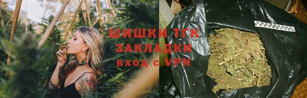 прущие грибы Верея