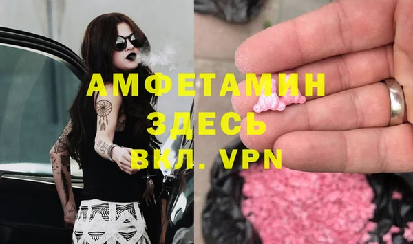 прущие грибы Верея