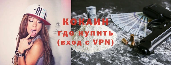 дживик Верхний Тагил