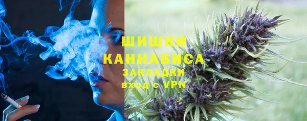 дживик Верхний Тагил